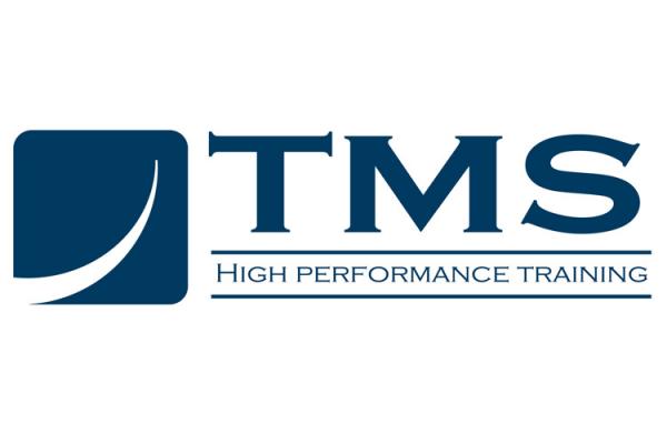 logo, brochure e Brand Design System TMS