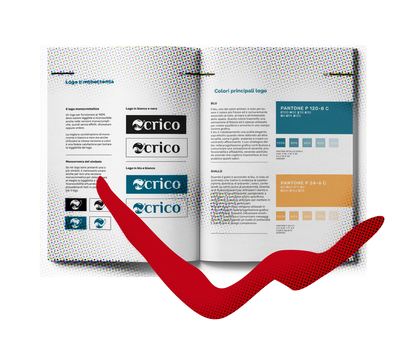 Logo e Brand Manual