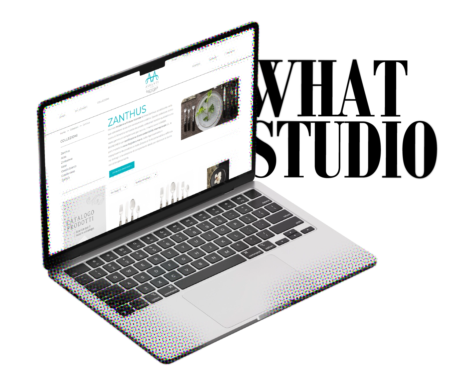 sviluppare un ecommerce