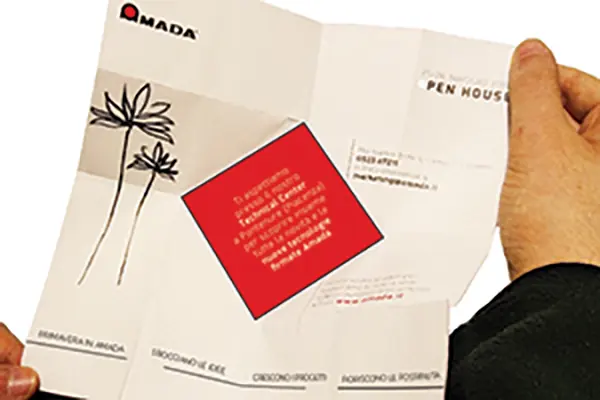 amada invito primavera