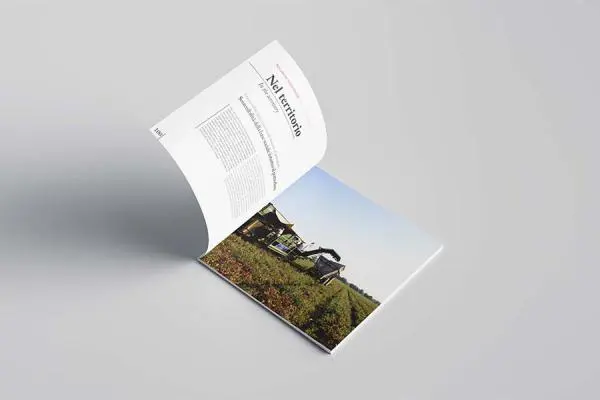 Brochure e Company Profile