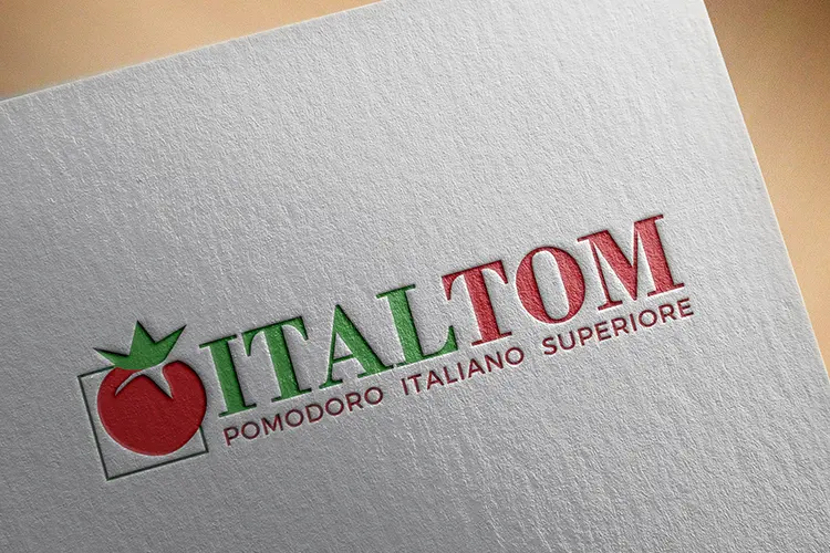 Lavoro Svolto