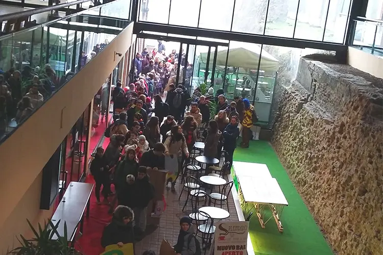 Lavoro Svolto