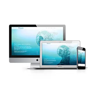 website health