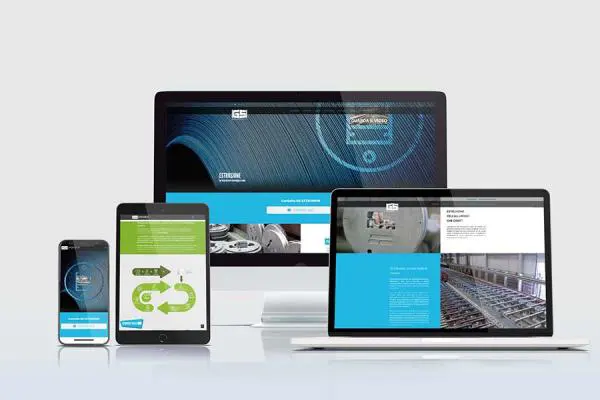 sviluppo sito web